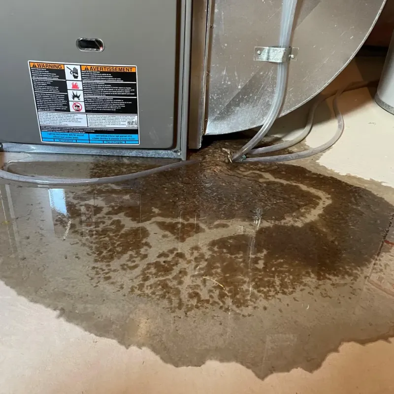 Appliance Leak Cleanup in Enterprise, AL